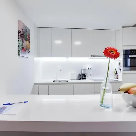 Modern Loft Studio At Center Prg *